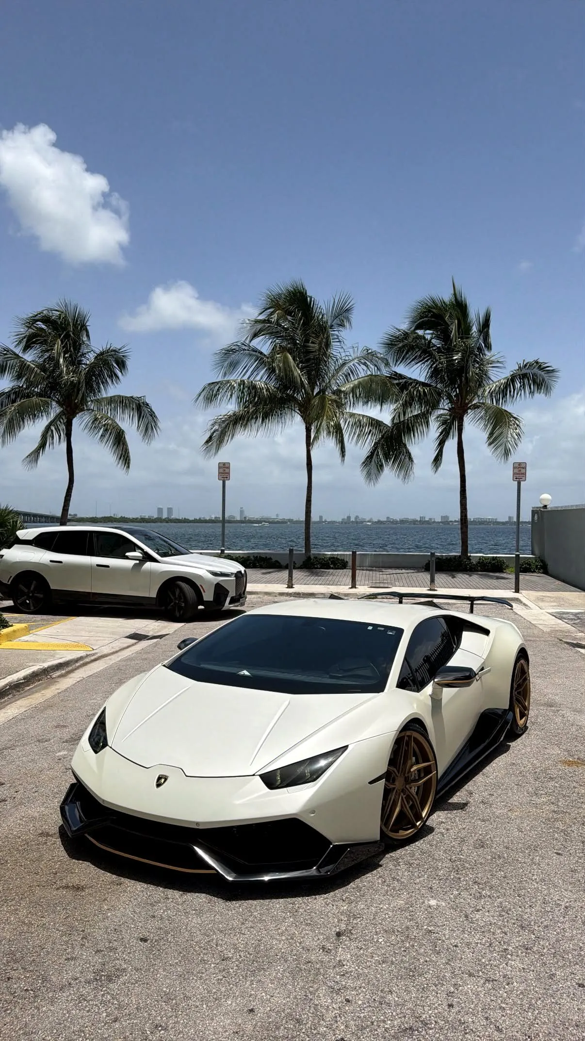 A white Lamborghini Huracan by the Miami waterfront with palm trees